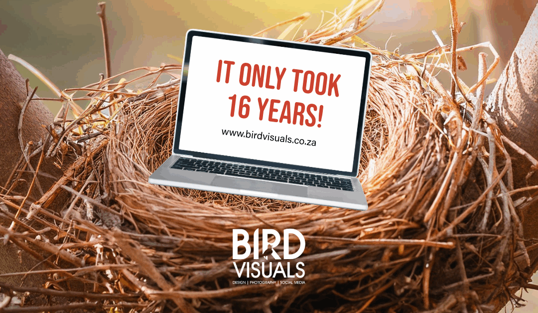 The Launch of the Bird Visuals Website (Finally!)