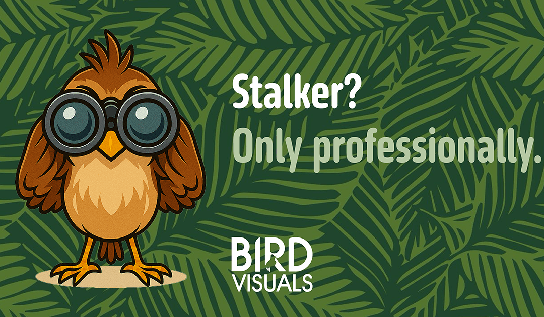 How Do You Determine Who Your Target Audience Is?