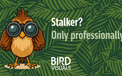 How Do You Determine Who Your Target Audience Is?